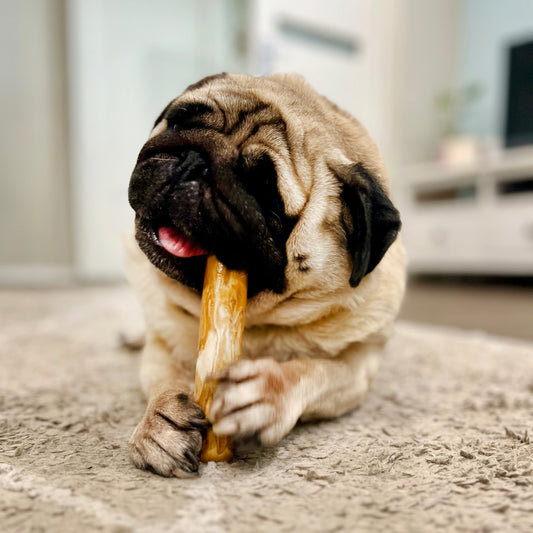 Coffee Wood Dog Chew