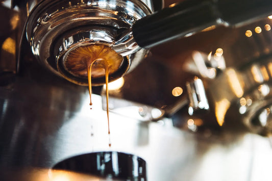 What Is Specialty Coffee? A Beginner’s Guide