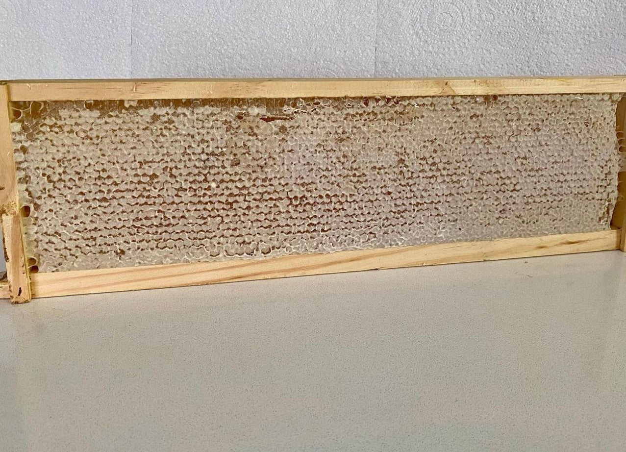 Full Frame Honey